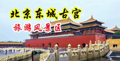 美女逼逼色黄色大骚逼色中国北京-东城古宫旅游风景区